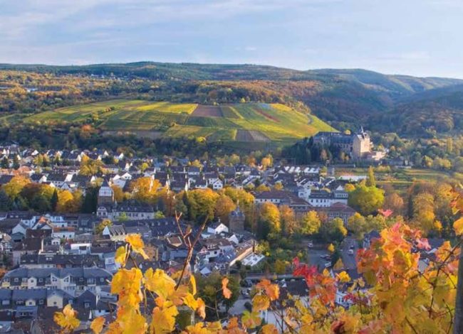 0819_Deutzerhof2