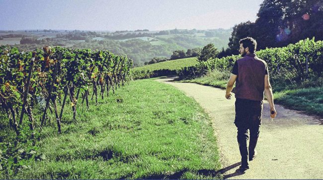 09.25_juelg_burgunderkollektion-des-jahres_meininger2